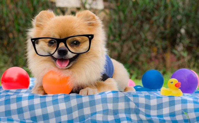 Стандартный