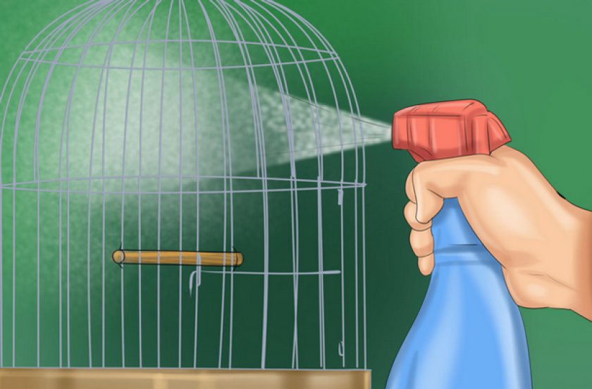 Обработка клетки