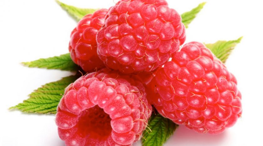 Малина Малина