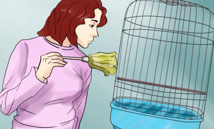 Уборка в клетке Уборка в клетке