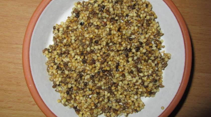 Смесь для кормления Смесь для кормления