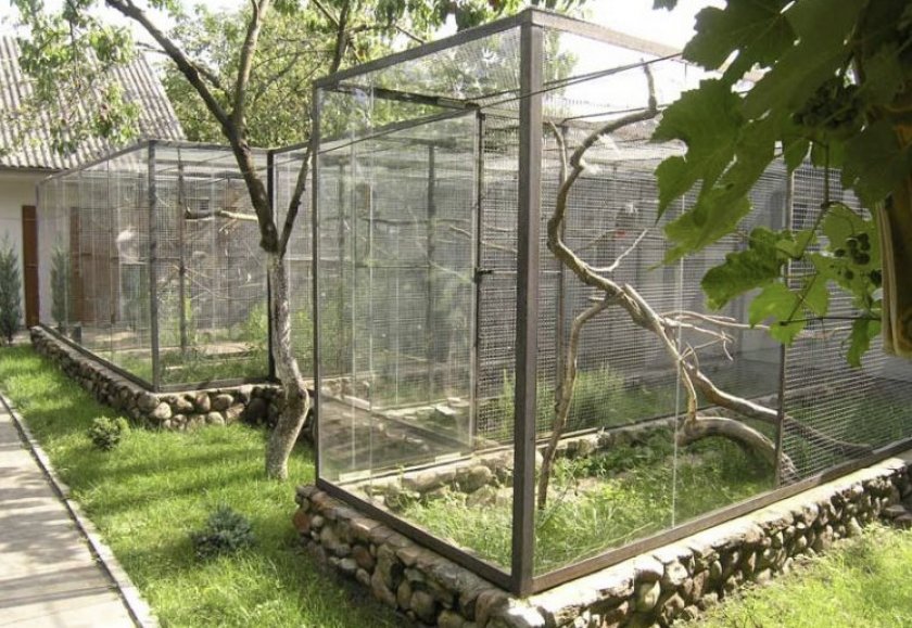 Вольер для попугаев