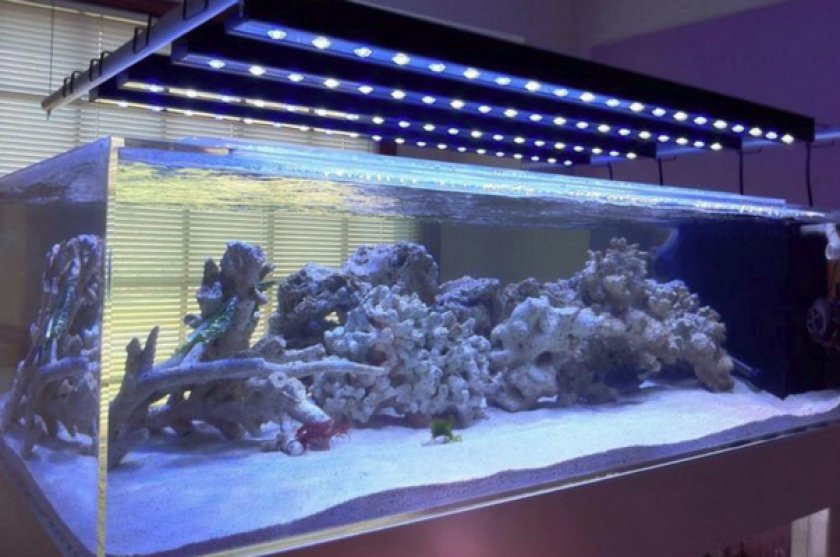 Аквариум Аквариум