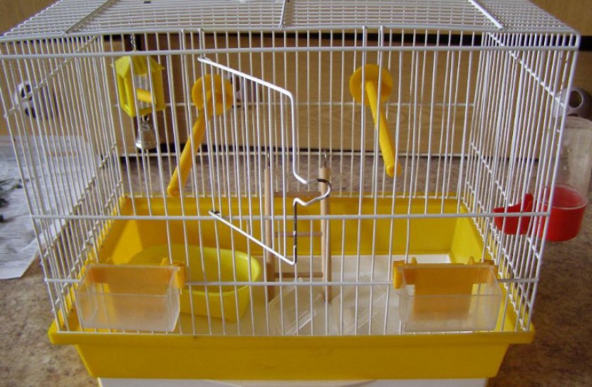 Клетка для попугая
