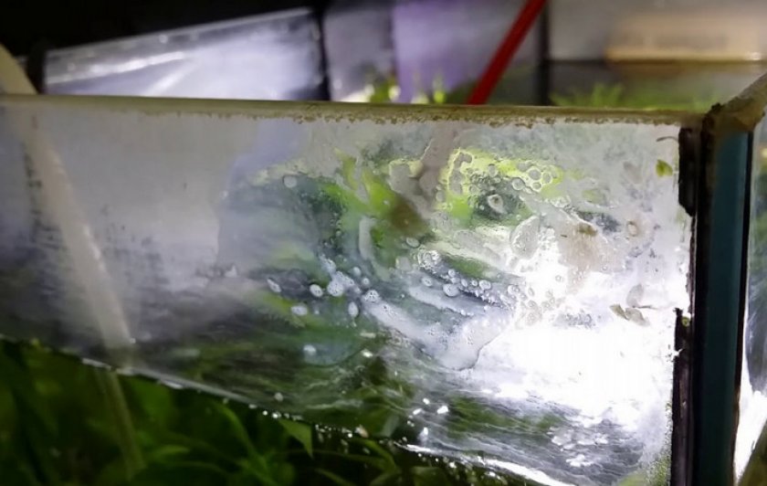 Убираем известковый налет