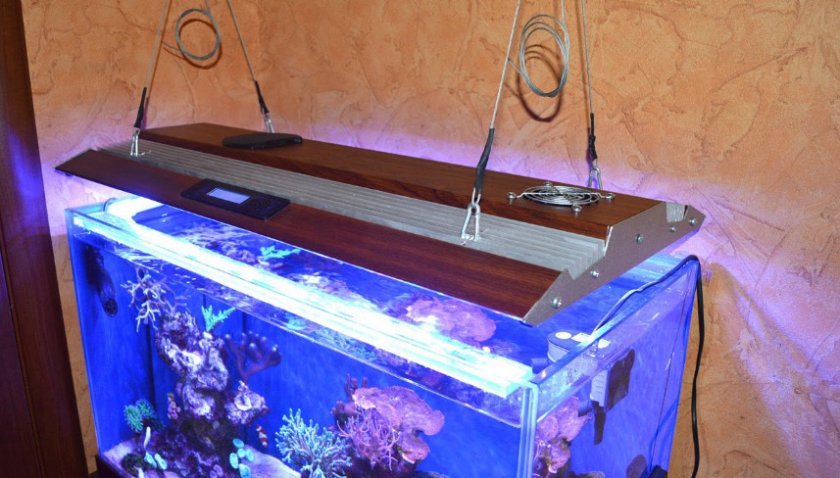 Ультрафиолетовые лампы в аквариуме