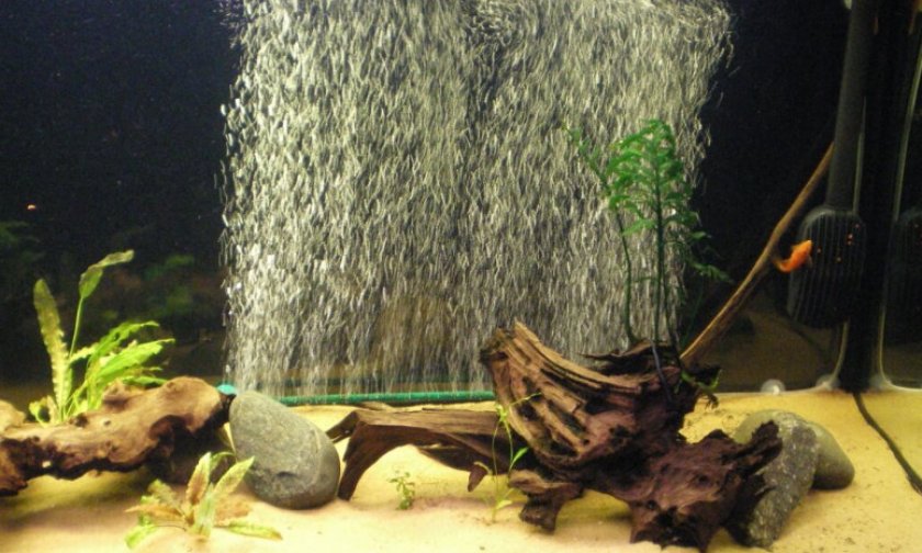 Аэрация воды в аквариуме