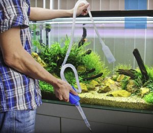 Подмена воды в аквариуме