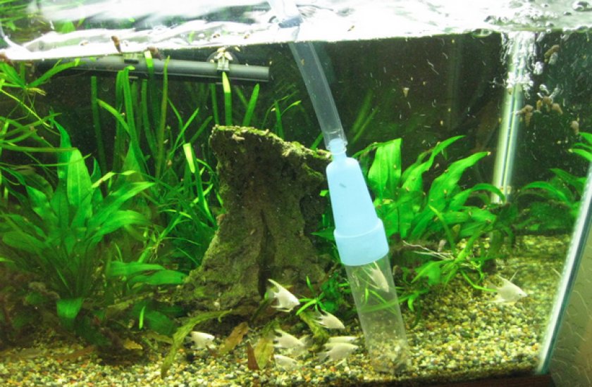 Замена воды в аквариуме