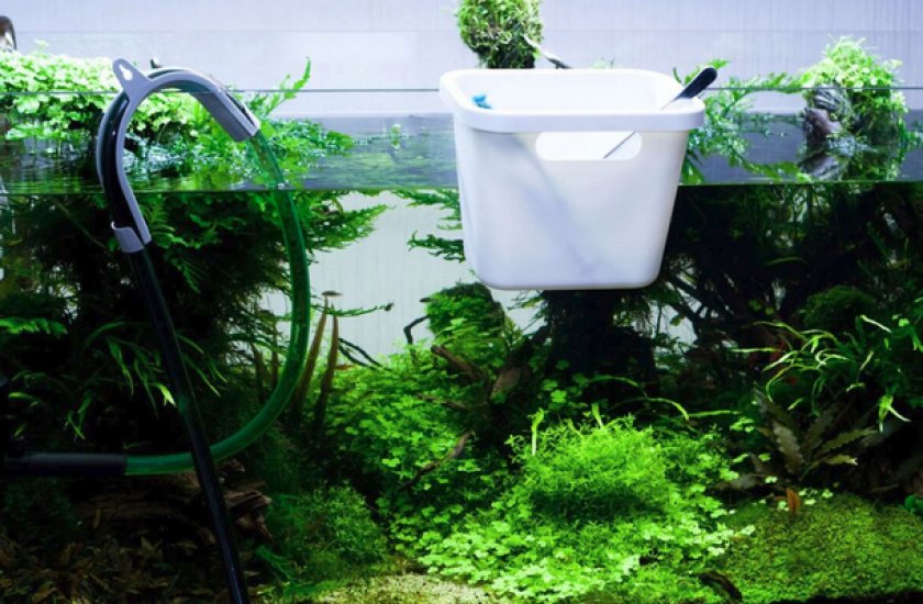 Замена воды в аквариуме