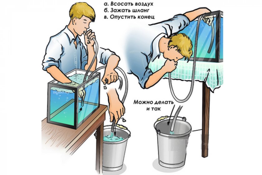 Замена воды в аквариуме