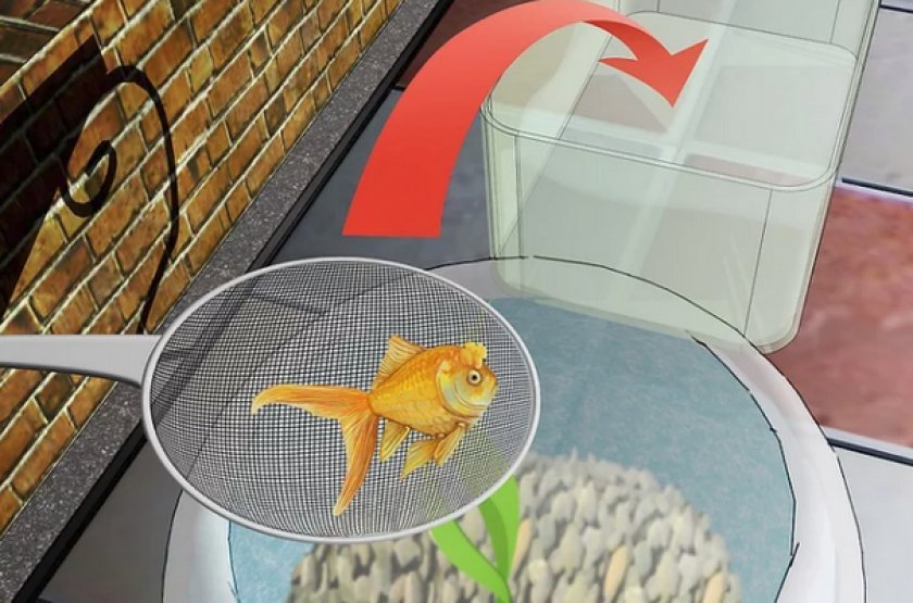 Замена воды в аквариуме