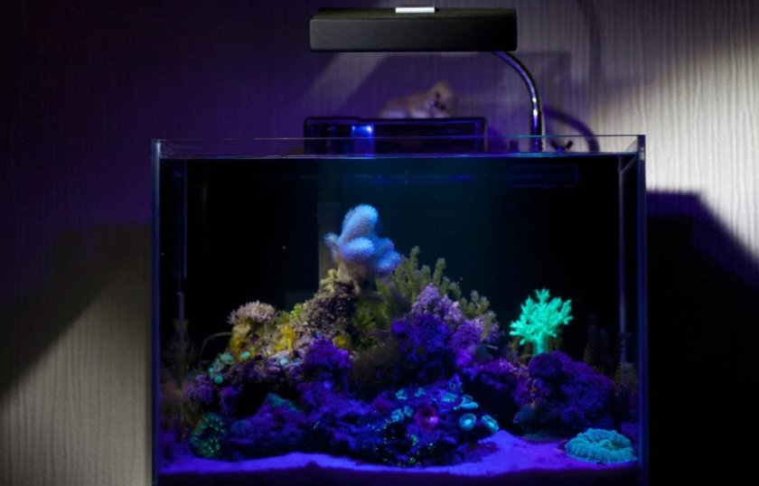 Лампа для аквариума