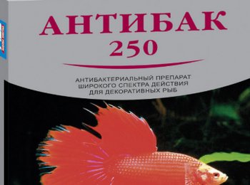 Как использовать Антибак для лечения рыб
