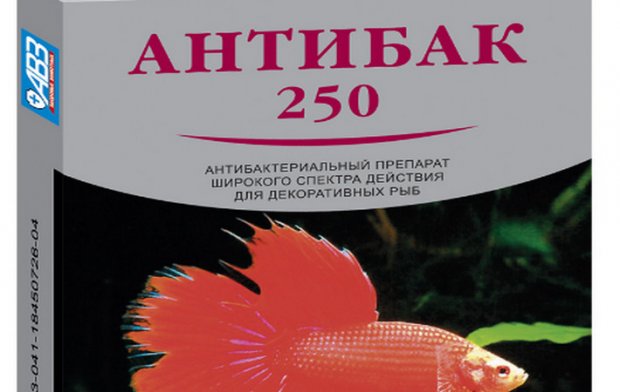 Антибак Антибак