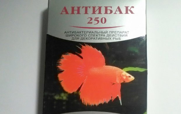 Антибак Антибак