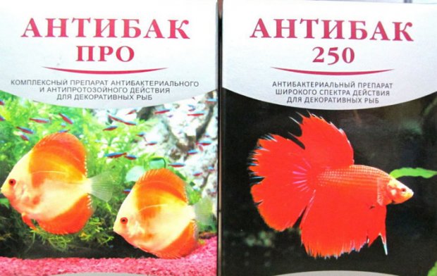 Антибак Антибак