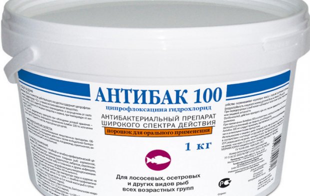 Антибак Антибак