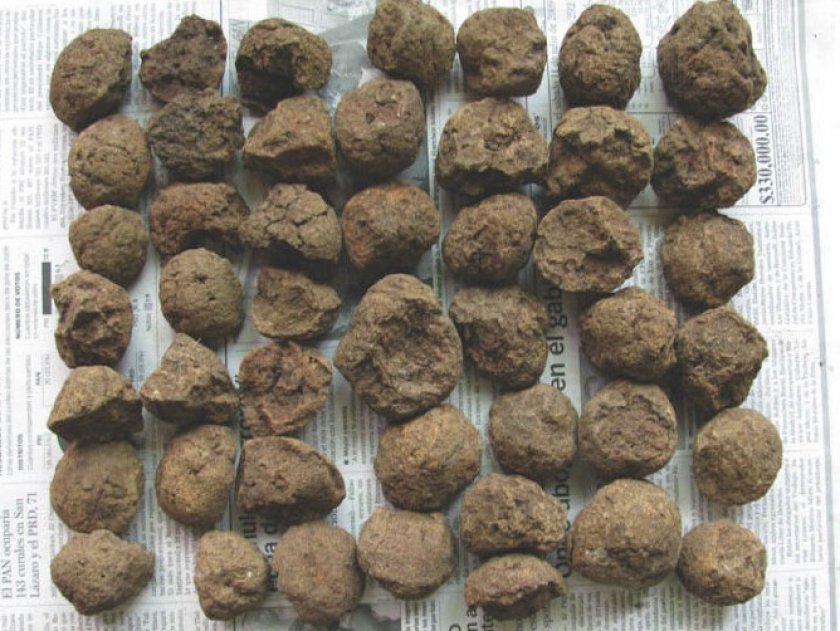 Красная глина в аквариуме