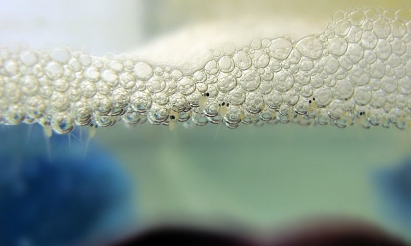 Гнездо из пузырьков