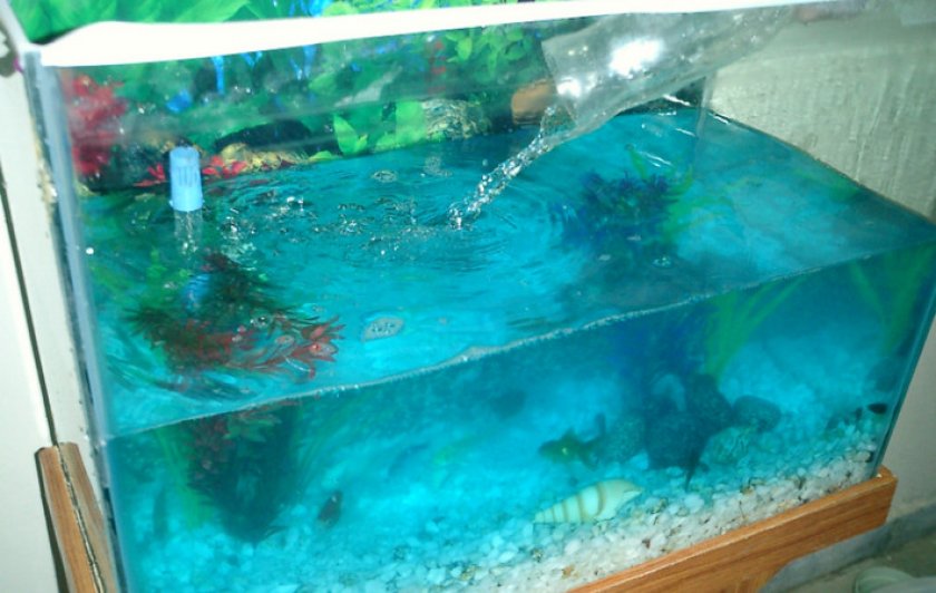 Вода для аквариума Вода для аквариума