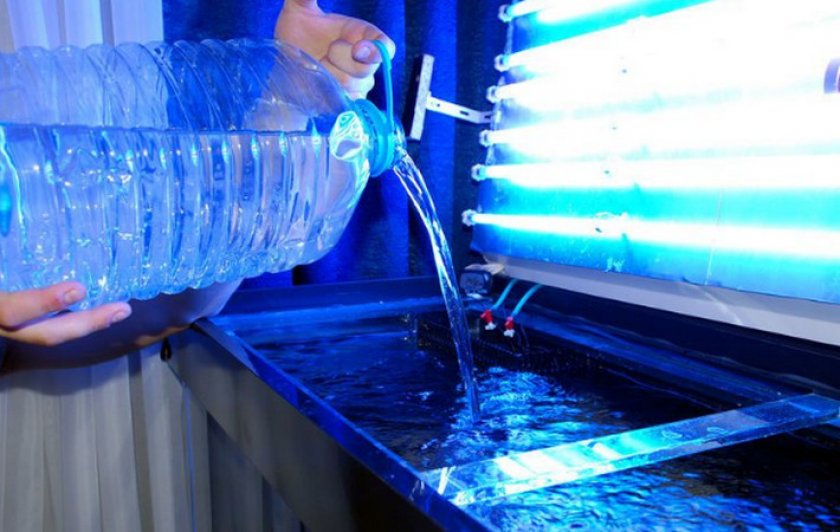 Вода для аквариума Вода для аквариума