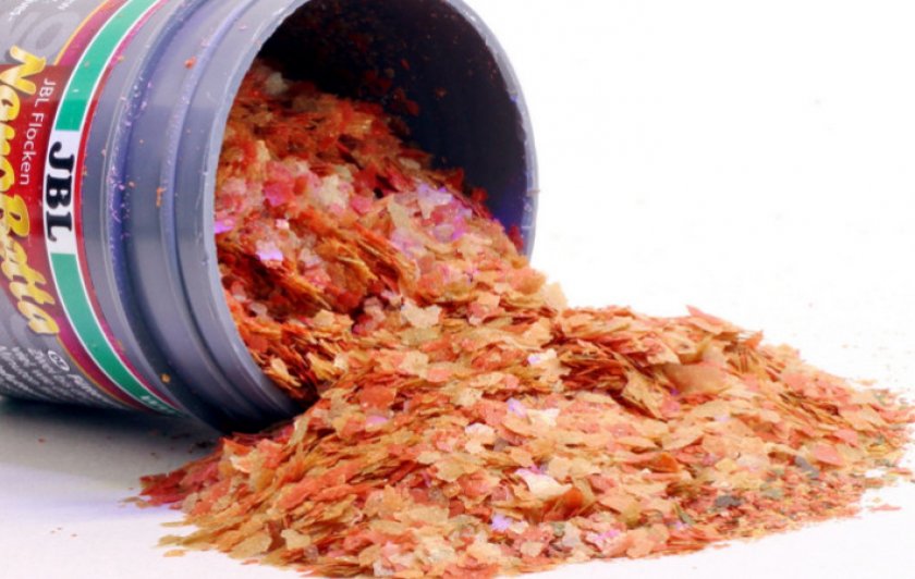 Сухой корм для рыб