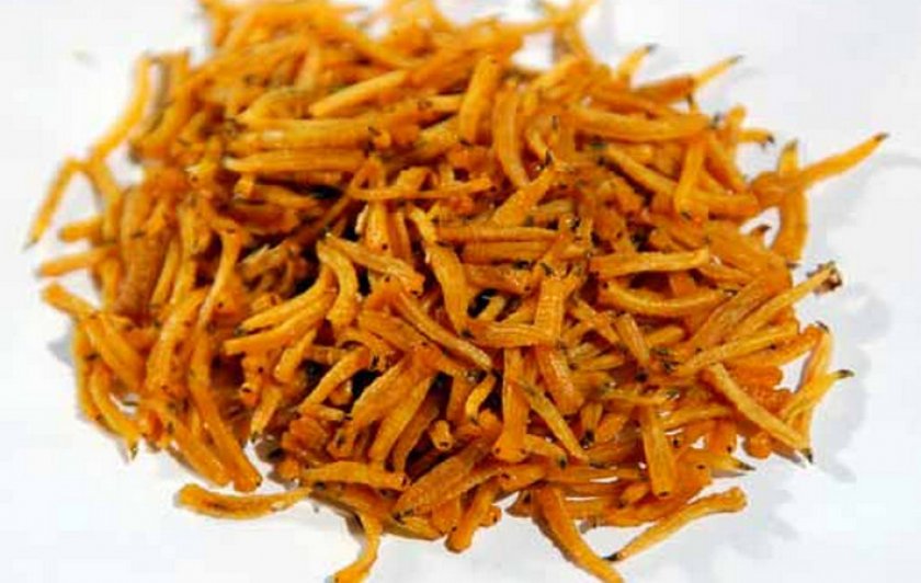 Корм для рыб