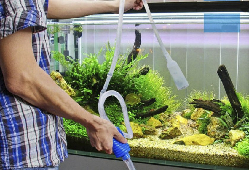 Подмена воды в аквариуме
