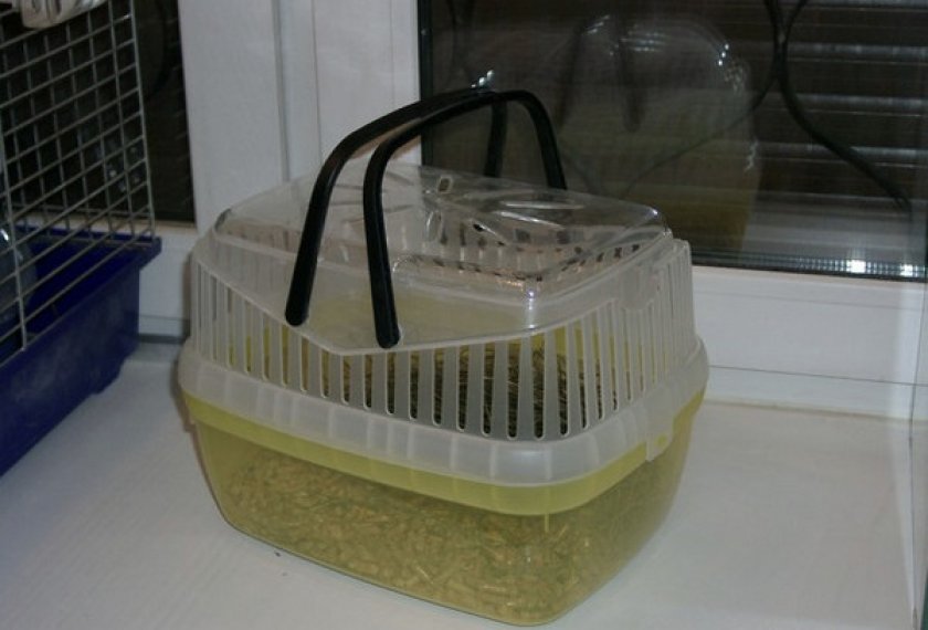 Пластиковый контейнер