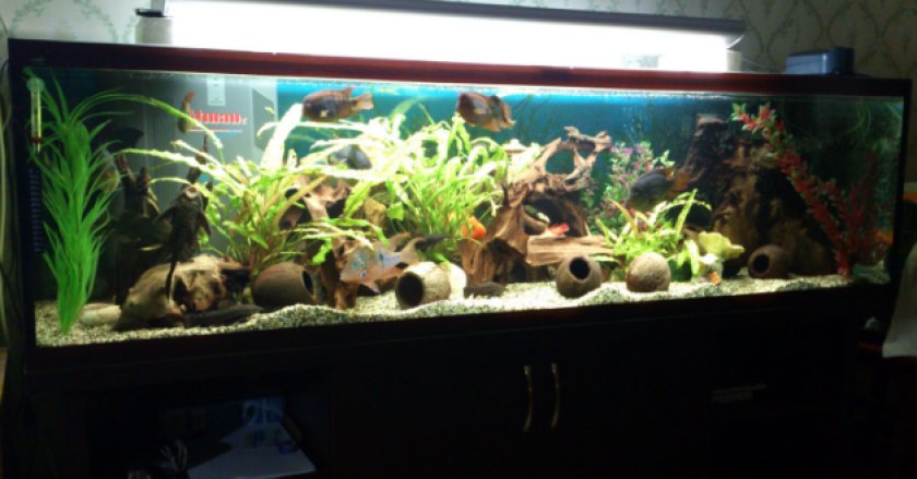 Аквариум