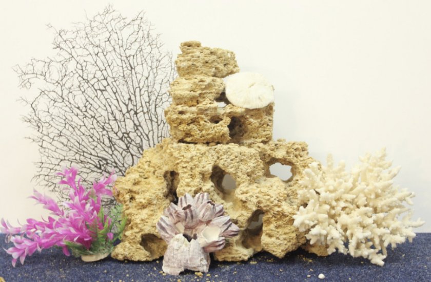 Ракушечник