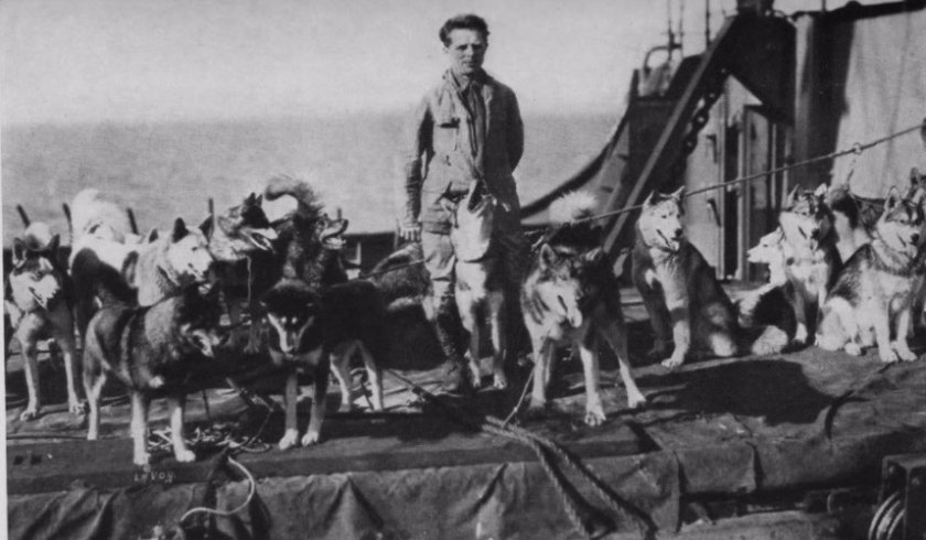 Известный гонщик Леонард Сеппала и его хаски