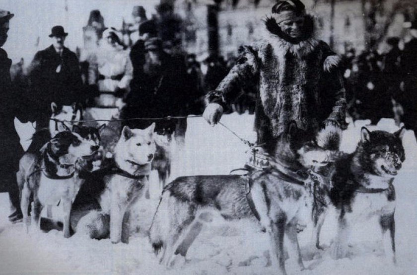 Упряжка Леонарда Сеппалы