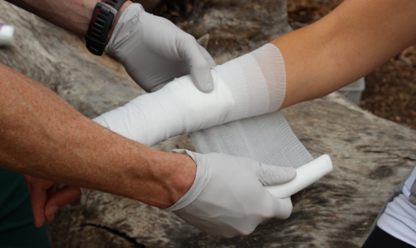 Первая помощь при укусах