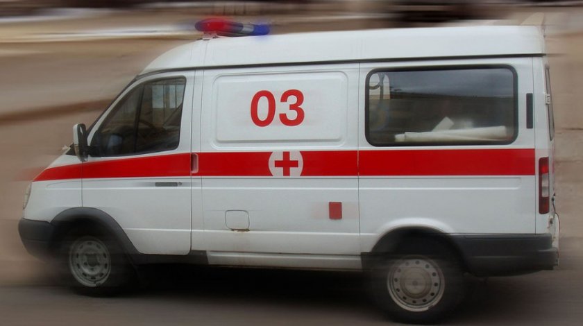 Первая помощь при укусах