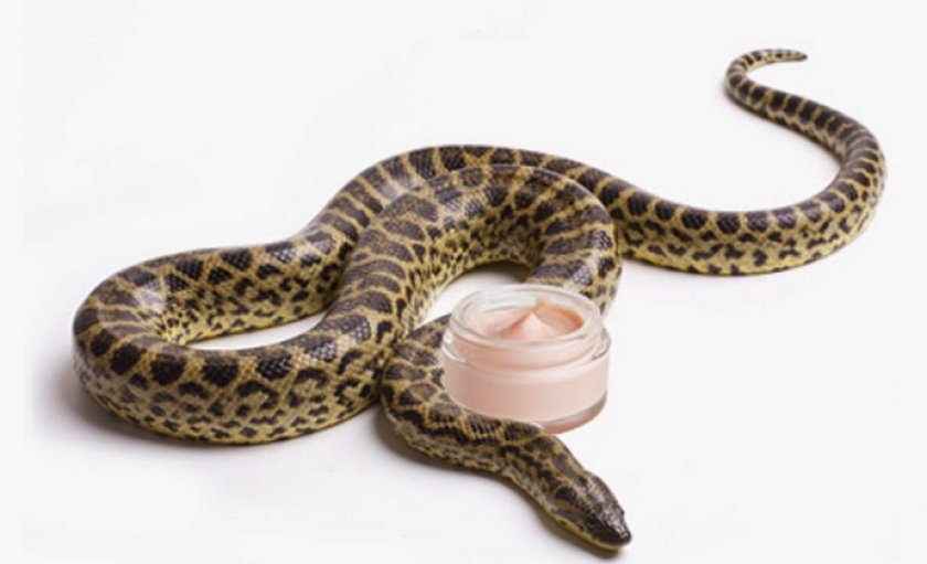 Змеиный яд в косметологии
