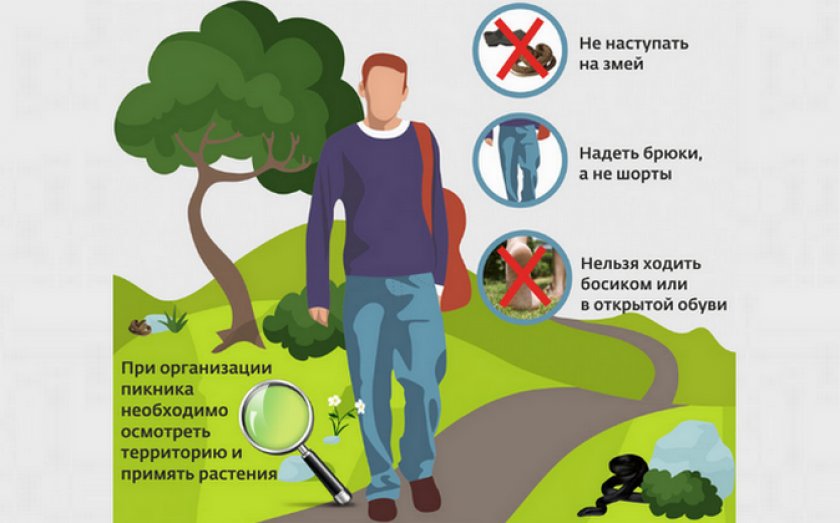 Меры предосторожности