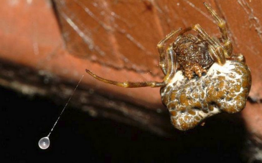 Шарик на ниточке