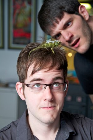 Хамелеон Джексона