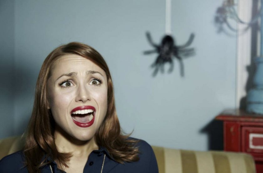 Женщина и паук