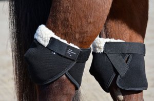 Ногавки для лошади