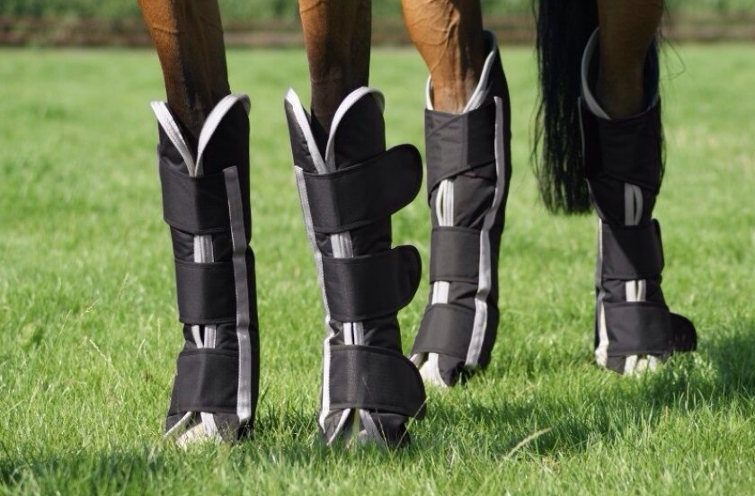 Транспортировочные ногавки для лошадей