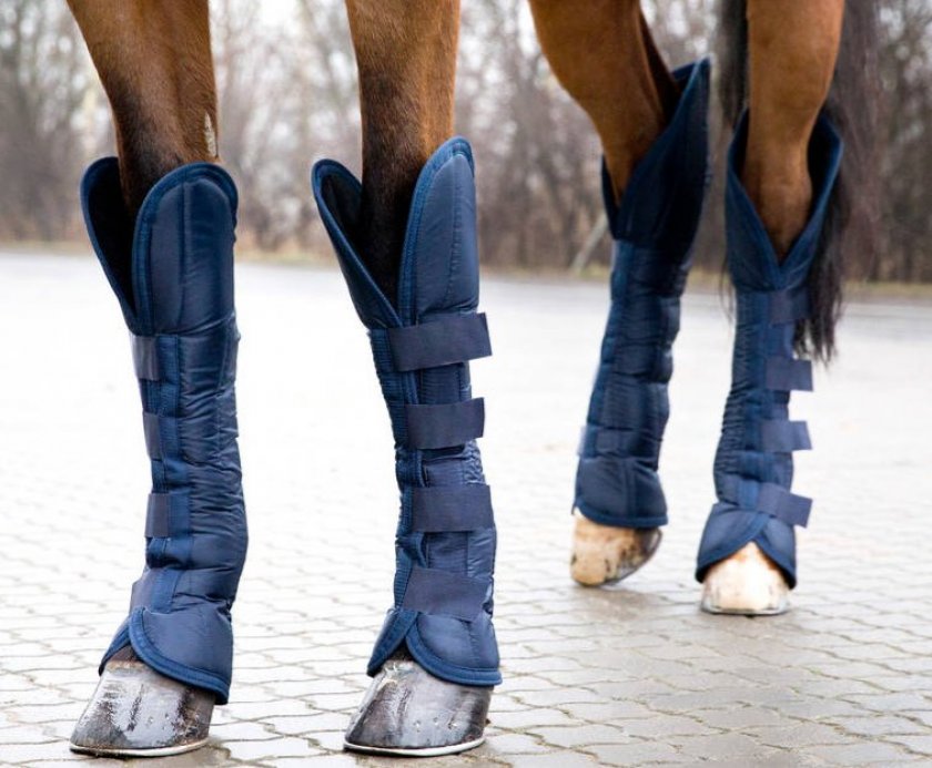 Транспортировочные ногавки для лошадей