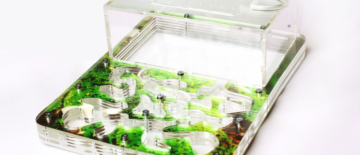 Как сделать муравьиную ферму своими руками в домашних условиях, советы ...