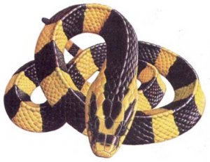 Ленточный крайт