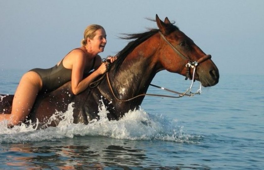 Плавать с лошадью