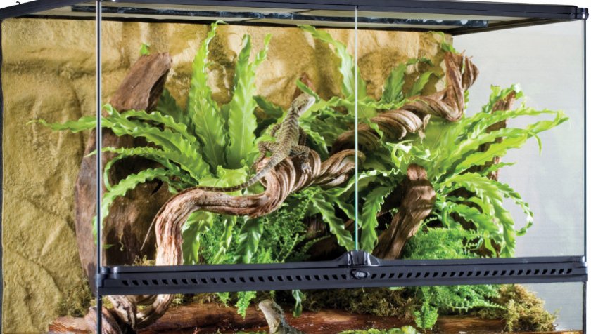 Террариум Террариум