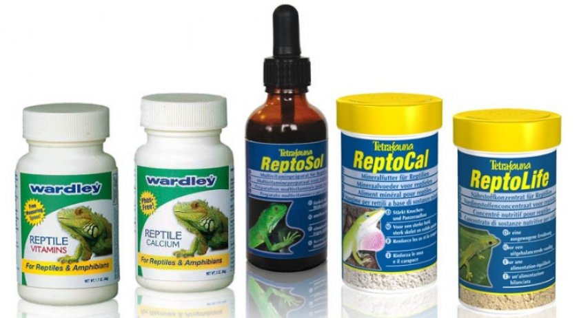 Витамины для хамелеонов Витамины для хамелеонов