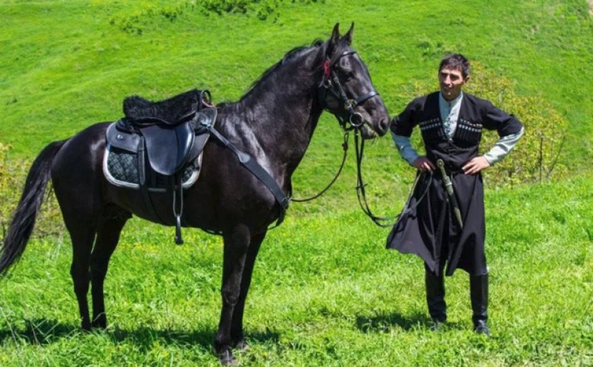 Кабардинская лошадь Кабардинская лошадь